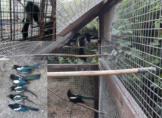 Sezóna začala skvěle