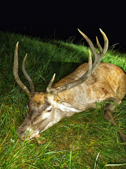 Tu sa výsady nerátajú