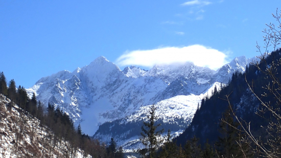 Od Javoriny