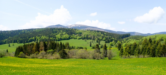 Kráľova hoľa