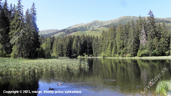 Vrbické pleso