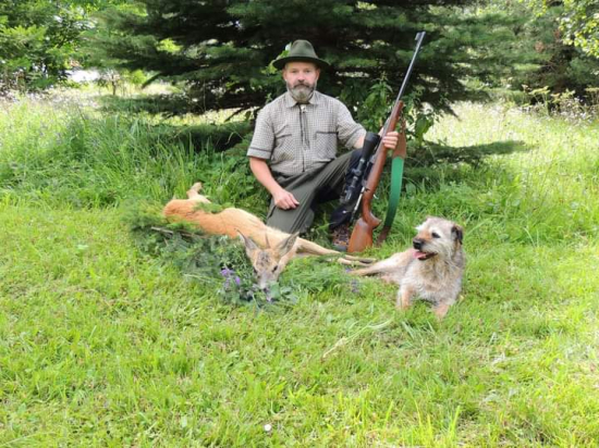 Uloveny srnec 1 v. t