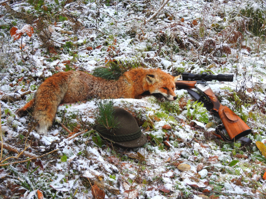 Medailový na prvom snehu