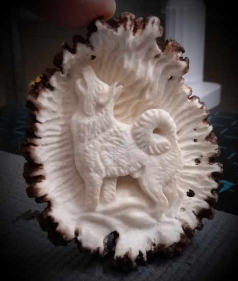 Lajka - bolo na zakázku