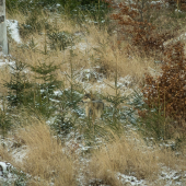 Na Orave dobre na Orave 