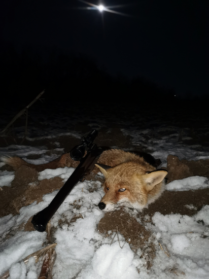 Lišiak & vrešťadlo