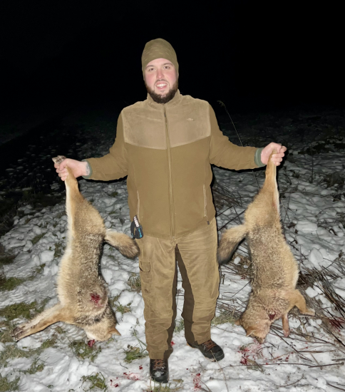 Prvý sneh, ukázali sa šakaly