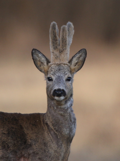 áno poznáme sa :-)
