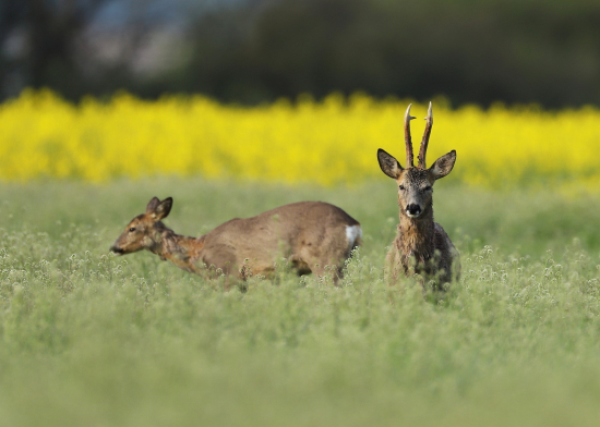 nebol rád,že som tam :-)