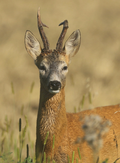 nie je všetko dokonalé