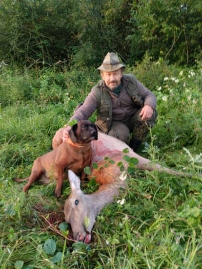 Úspešné dohľadana- jelenicka