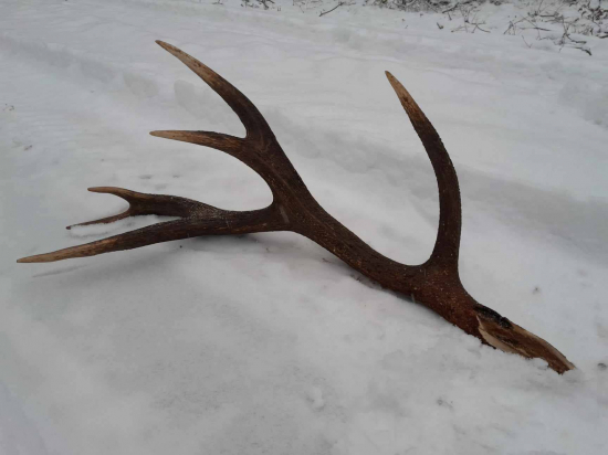 Kamarátov nález 3,25 kg