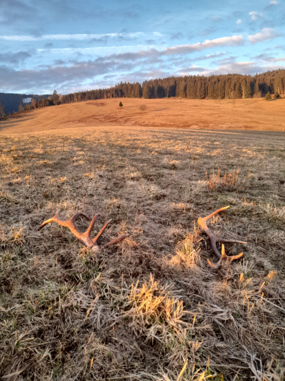 Tak si spolu ležali dva pravé...