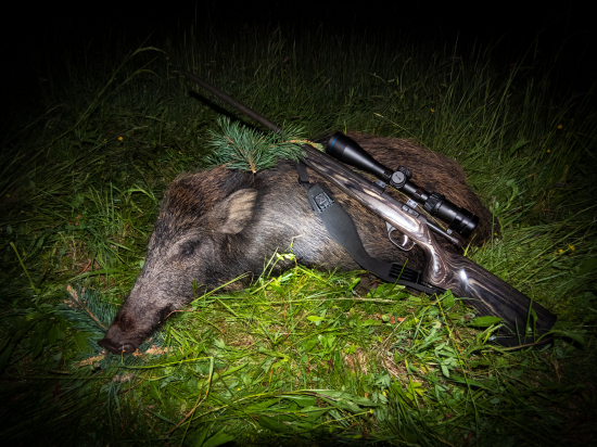 Po piatich rokoch...