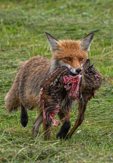 Smutná realita dnešných dní...