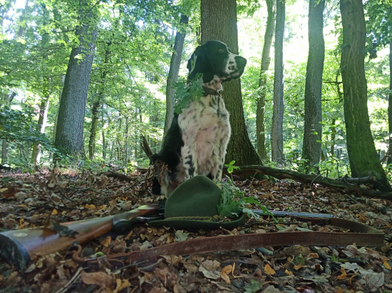 Pracovná/ skúšková/ Modelka ASS