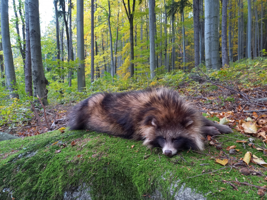 I včera se ještě zadařilo