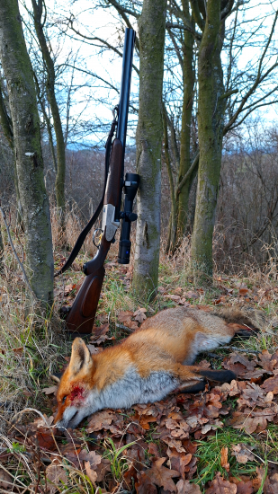 Oklamaná vábničkou...