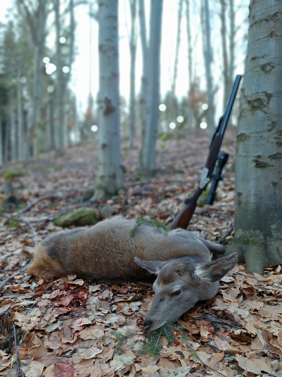Prvé tohtoročné..
