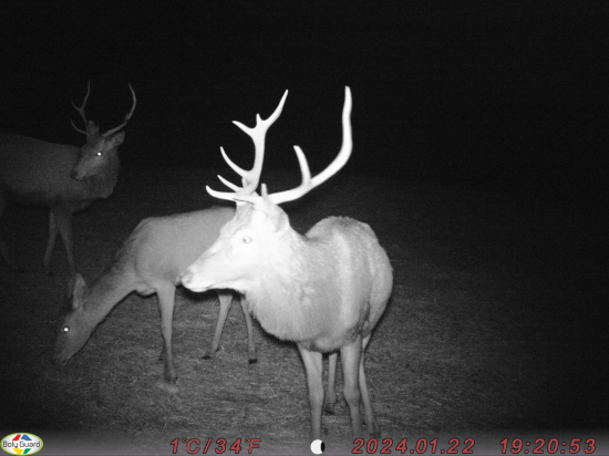 Keď sa povie 12torák