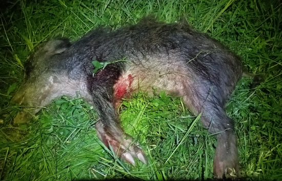 Myslel  že je maskovaný