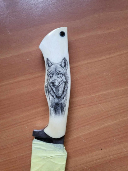 Scimshaw do hov.kosti