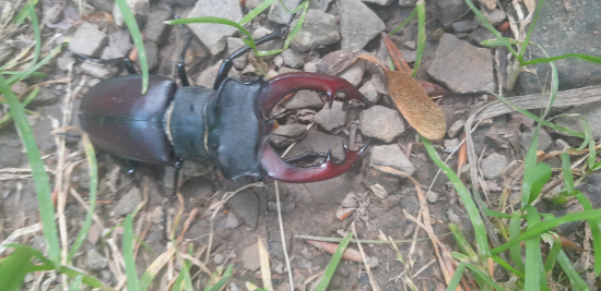 Na turistickom chodníku