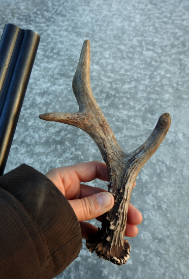 Dnes po práci hneď do poľa...