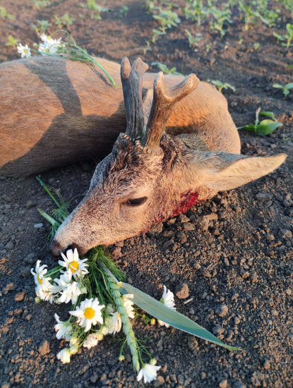 Sezóna úspešne zahájená.
