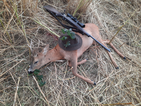 Keď sa sen stal skutočnosťou...