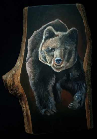 Z tieňa vystupujúci