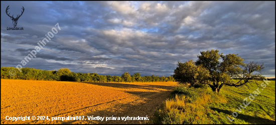 pri starej hruške ...