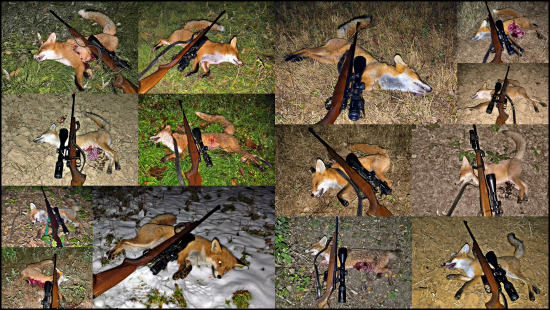 zatiaľ v tejto sezóne