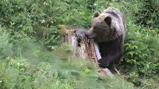 facku od neho by som nechcel