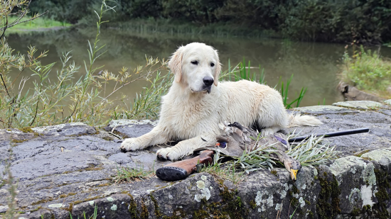 prvý spoločný úlovok