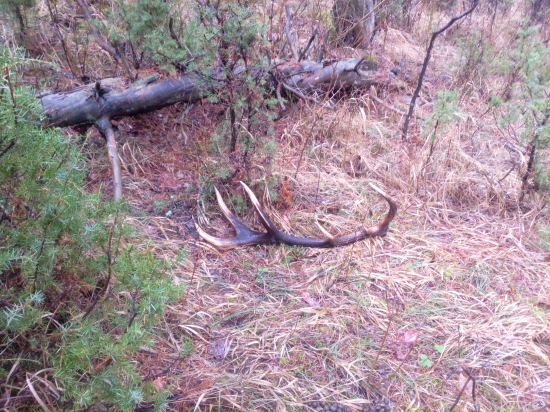 Keď pršalo mrholilo...