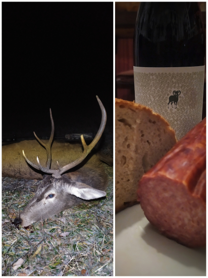 Jeleň do plánu a koštovka salámu