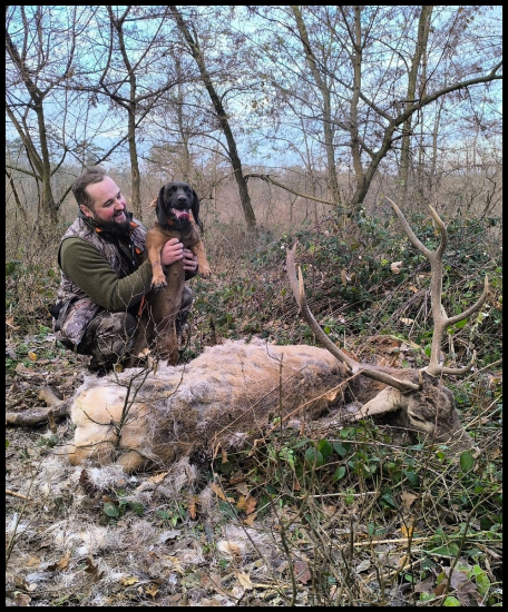 Radosť z dohladavky