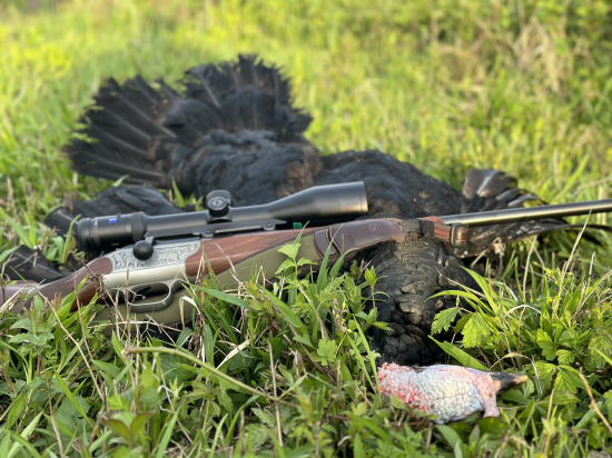 Narodeninový darček