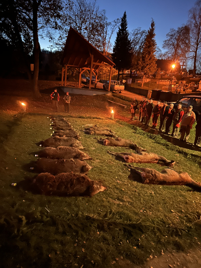 Prvá spoločná v tejto sezóne .....