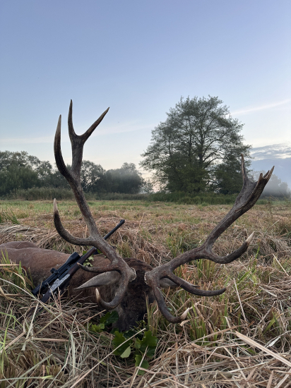 Jelenia ruja 2024 v Maďarsku