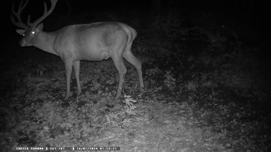 Prosím vás koľko môže mať rokov cca?