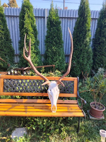 Sen sa stal skutočnosťou ..