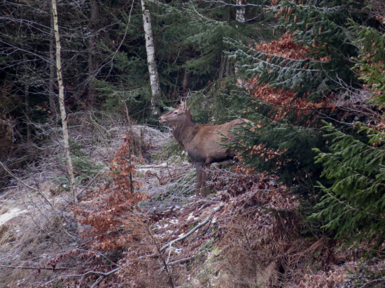 Tak kde si ich schoval kamarát...