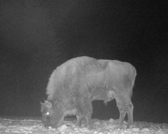 kde bolo,tam bolo....