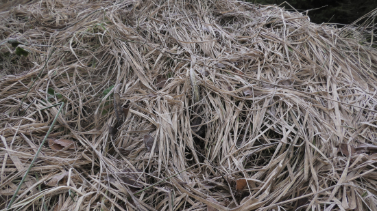 Kto má dobré očká