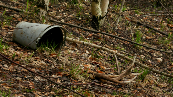 Prvý pohľad- kýbel šťastia