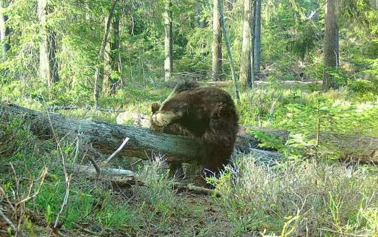 Kvalitné podrážky