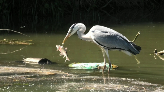 Jalcove posledné sekundy
