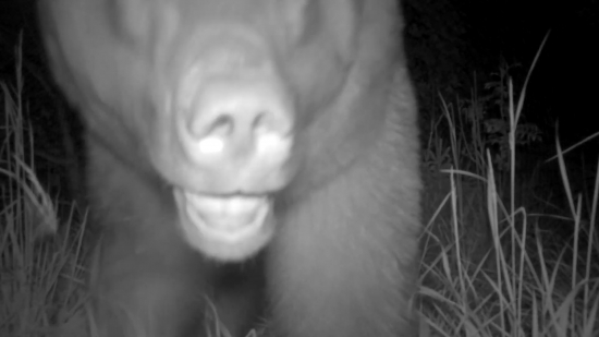 Božtek na dobrú noc